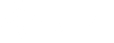Ayn Ceramics